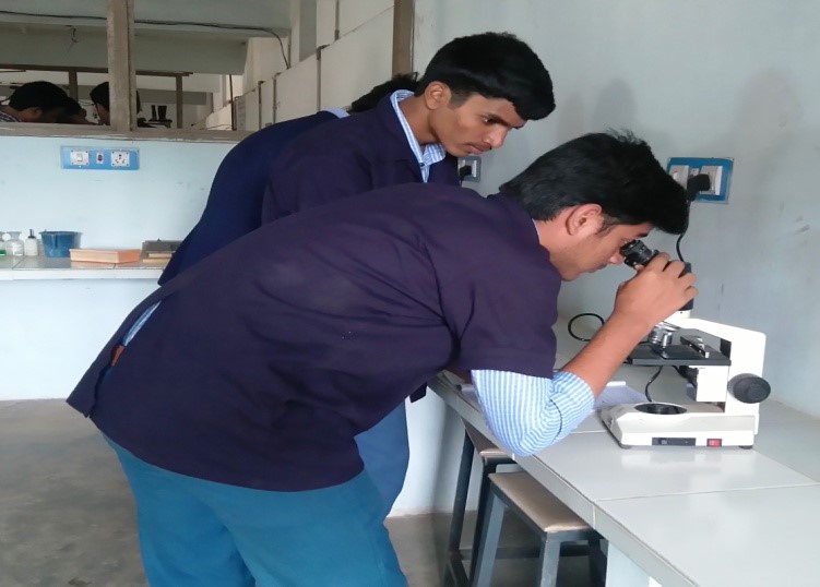 Metallurgy Lab